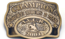 ETA 12X8 -VÁRIAS OPÇÕES DE ACESSÓRIOS