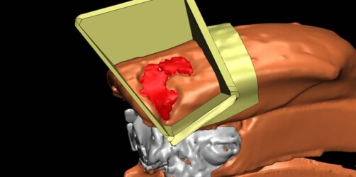 Impressão 3D SLA da Formlabs para próteses impressas na área da medicina veterinária